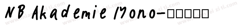 NB Akademie Mono字体转换